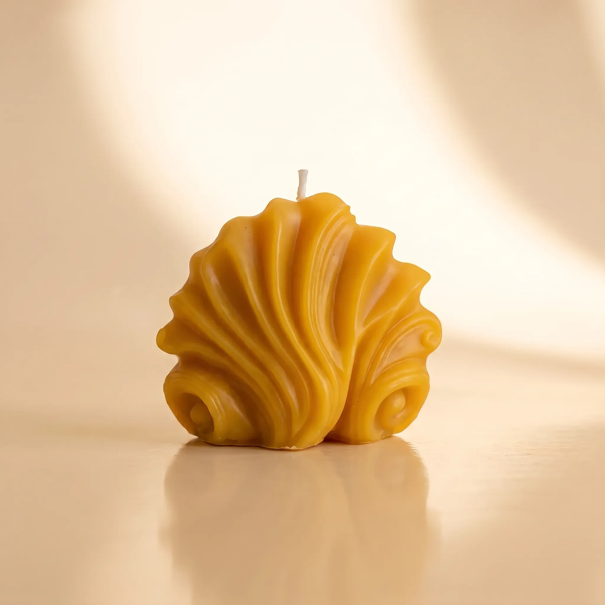 Beeswax Venus Shell Candle