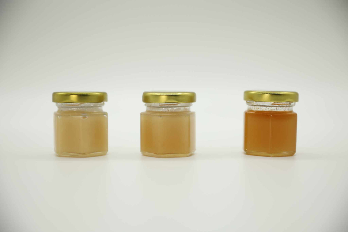 Raw Honey Sampler Pack.