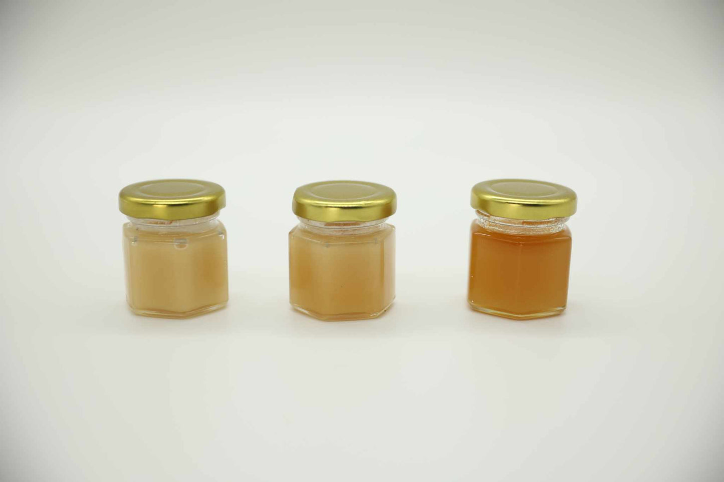 Raw Honey Sampler Pack.