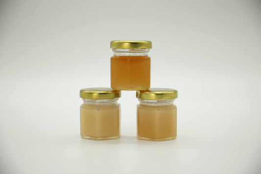 Raw Honey Sampler Pack.