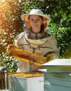 Beeline Organic Honey photo 3