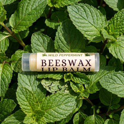 Wild Peppermint Beeswax Lip Balm | Honey Infused | Beeline Organic