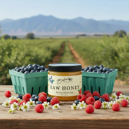 Beeline Organic honey jar in a Bellingham blueberry orchard surrounded by fresh raspberries and blueberries.